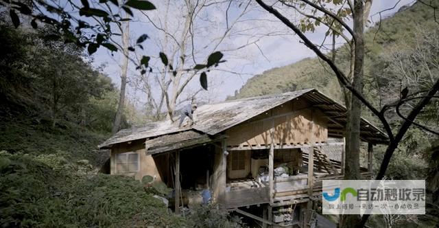 8个好友在福建抱团村居：几乎不花钱，尝试在山里养育下一代|文文|何谐|群生