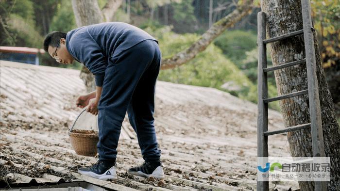 8个好友在福建抱团村居：几乎不花钱，尝试在山里养育下一代|文文|何谐|群生