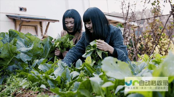 8个好友在福建抱团村居：几乎不花钱，尝试在山里养育下一代|文文|何谐|群生