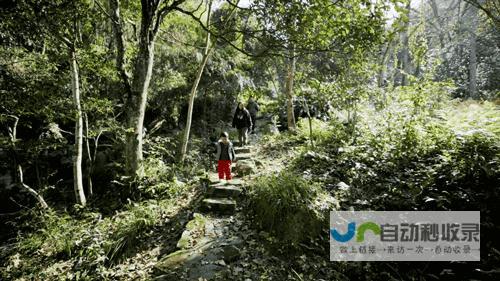8个好友在福建抱团村居：几乎不花钱，尝试在山里养育下一代|文文|何谐|群生
