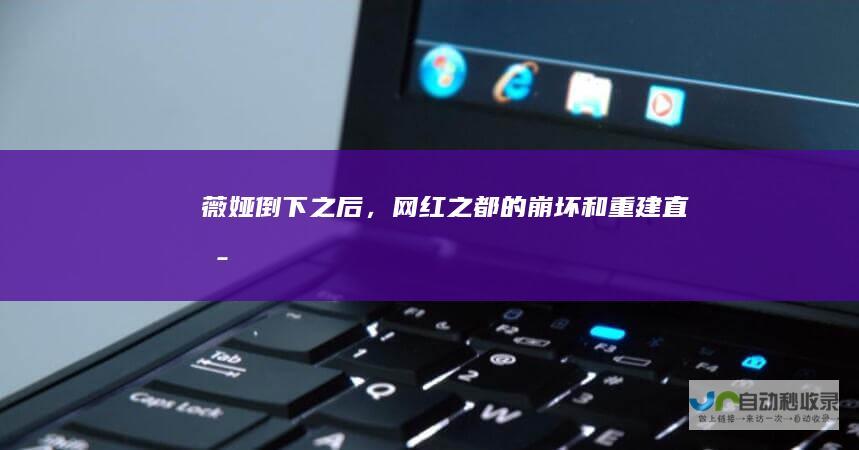 薇娅倒下之后，“网红之都”的崩坏和重建|直播间|林依轮|罗永浩|直播电商
