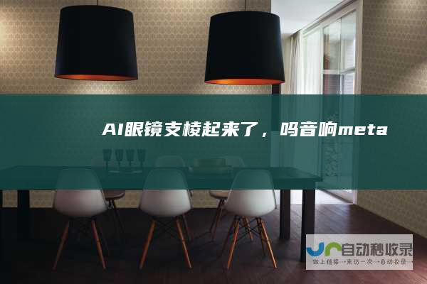 AI眼镜支棱起来了，吗|音响|meta